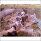 Click to view classifieds GSBZQSJF