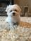 Click to view classifieds KGMAWKAM