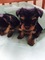 Click to view classifieds EFJHCDMV