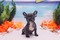 Click to view classifieds PYCAKCLJ