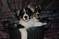 Click to view classifieds HCXJLJXV