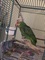 Click to view classifieds WYQNBRYL