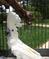 Click to view classifieds QSMXAEVV