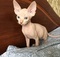 Click to view classifieds VOWSSSNS
