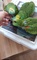 Click to view classifieds BUVNEASJ