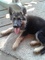 Click to view classifieds XUWNUDHL