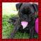 Click to view classifieds EETQYGPN