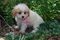 Click to view classifieds RMGXXZXU