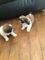 Click to view classifieds QWSDPFRV