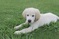 Click to view classifieds HDCMLCJW