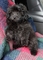 Click to view classifieds FOLPLWRW
