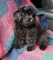 Click to view classifieds FHTCPRTB