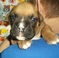 Click to view classifieds YDEEYGLQ