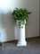 Click to view classifieds TWMEMOLD