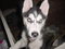 Click to view classifieds CPWCKDPT