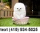 Click to view classifieds WNRHFBOZ