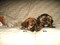 Click to view classifieds XSJQTVQV