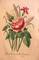 Click to view classifieds YRDRBQQE