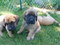 Click to view classifieds UGTKKPBE