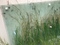 Click to view classifieds TSHHXOAR