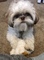 Click to view classifieds CTYFTAQF