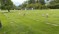 Click to view classifieds DARTTSDC