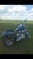 Click to view classifieds DHKRBYDV