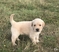 Click to view classifieds RRTKZPNX