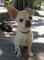 Click to view classifieds DDGOBQWM