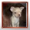 Click to view classifieds AMWNZXSF