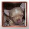 Click to view classifieds BSUXKWXU