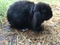Click to view classifieds KYTYCTOM