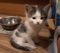 Click to view classifieds YZUWZZSJ