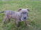 Click to view classifieds XJVZLJBB