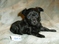 Click to view classifieds ARYHZEZE