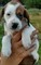 Click to view classifieds MBTOVWQZ