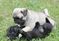 Click to view classifieds JFWXQMAL