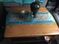 Click to view classifieds NHRSHXYZ