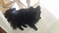 Click to view classifieds TVJEUSOV