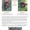 Click to view classifieds OKYBGEEP