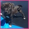 Click to view classifieds JRJQOAUA