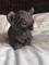 Click to view classifieds FXBEHLVL