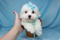 Click to view classifieds ONNLBOGP