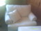 Click to view classifieds LXMNOYNA