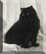 Click to view classifieds XNJDTHMR
