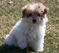 Click to view classifieds MJQFPORO