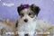 Click to view classifieds JCFJZDZH