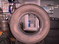 Click to view classifieds ECDFSCGO