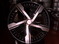 Click to view classifieds ANUBZPFO