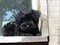 Click to view classifieds XXPFNSQT